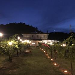 Temi di Terra, Caiazzo orari di apertura