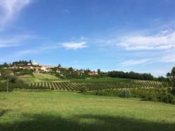 Cascina Sarassi, Albugnano orari di apertura