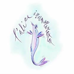 L'Alice Innamorata, Noli orari di apertura