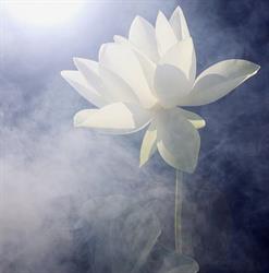 Breathe yoga, Milano orari di apertura