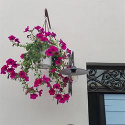Tambien B&B, Pesaro orari di apertura