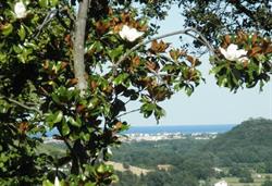 B&B Madonna degli Angeli, Fano orari di apertura