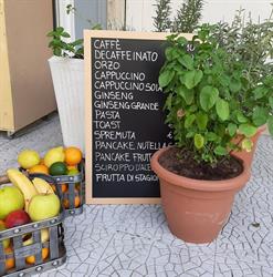Piadineria 1908, Cesenatico orari di apertura