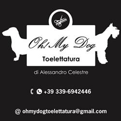 Oh My dog Toelettatura, Modica orari di apertura