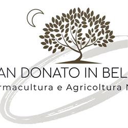 San Donato in Bellaria, Chianni orari di apertura