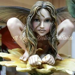 Il regno della fantasia, Ladispoli orari di apertura