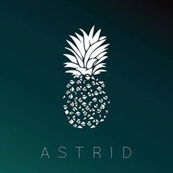 Astrid, Via Dante, Vigevano orari di apertura