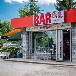 Amazon Counter - OLLY BAR, Mondovì orari di apertura