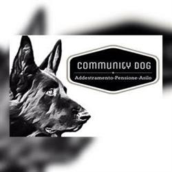 Community Dog, Terracina orari di apertura