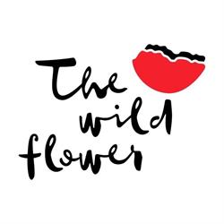 The wild flower, Piove di Sacco orari di apertura