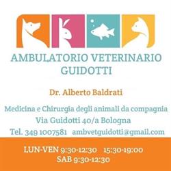 Ambulatorio Veterinario Guidotti, Bologna orari di apertura