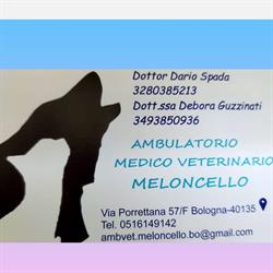 Ambulatorio Medico Veterinario Meloncello, Bologna orari di apertura