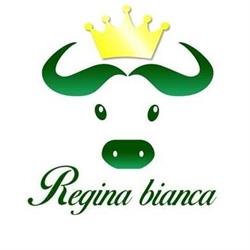 Regina bianca bufala di Battipaglia, Como orari di apertura