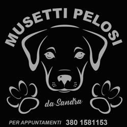 Toelettatura Musetti Pelosi, Cattolica orari di apertura