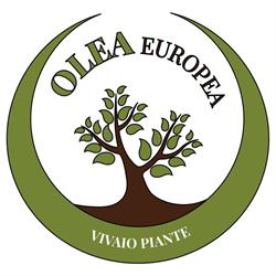 Olea Europea, Terzigno orari di apertura