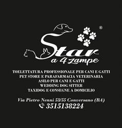 Star A 4 Zampe® Toelettatura - Pet Store - Asilo - Wedding Dog Sitter - Parafarmacia Veterinaria, Conversano orari di apertura