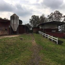 Centro Ippico Signorelli, Roma orari di apertura