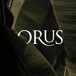 Orus group, Cassina de' Pecchi orari di apertura