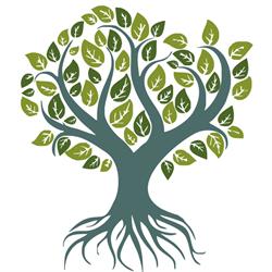 Albero Immobiliare, Monserrato orari di apertura