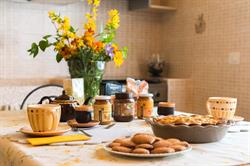 Domus Amica B&B Lu e Cuccaro Monferrato, Lu - Orari di apertura
