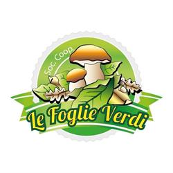 Le Foglie Verdi, Giarre orari di apertura
