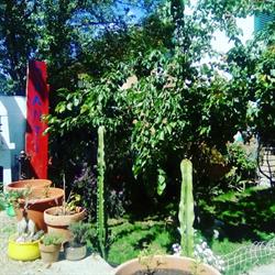 B&B La Casa della Tartaruga, Castiglione della Pescaia orari di apertura