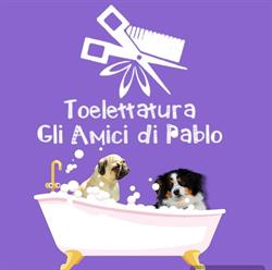 Toelettatura Gli Amici di Pablo, Marano di Napoli orari di apertura
