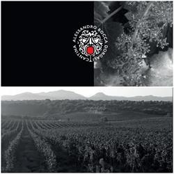 Cantina Alessandro Bocca, Dorgali orari di apertura