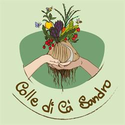 Colle Cà Sandro, Rocca Malatina orari di apertura