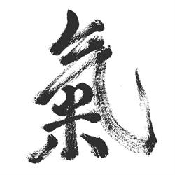 Ki Aikido Thiene - ACSD Washinkan, orari di apertura