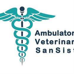 Ambulatorio Veterinario San Sisto, Perugia orari di apertura