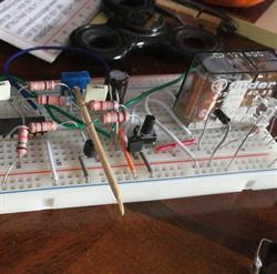 TRAF Elettronica di Trafighetti Gianni, Gambettola orari di apertura