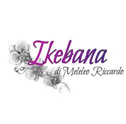 Ikebana, Castrignano de' Greci orari di apertura