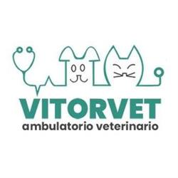Ambulatorio associato vitorvet, Vitorchiano orari di apertura