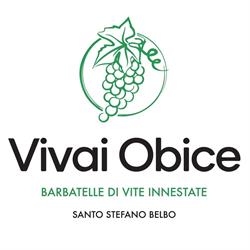 Vivai Obice - Barbatelle di vite innestate, Santo Stefano Belbo orari di apertura