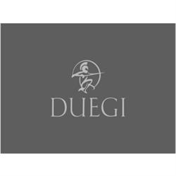 Duegi Punto Sicuro, Grugliasco orari di apertura