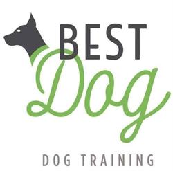 Best Dog Addestramento, Bra orari di apertura