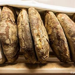 Grano, Ascoli Piceno orari di apertura