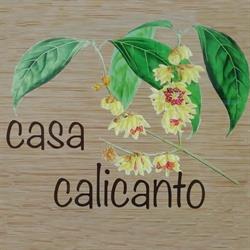 Casa Calicanto, Corropoli orari di apertura