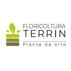 Floricoltura Terrin, Fossò orari di apertura