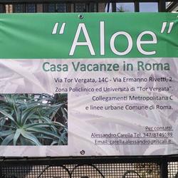 ALOE CASA Vacanze ROMA, Roma orari di apertura