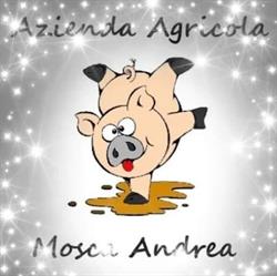 Azienda Agricola Mosca, Cavarzere orari di apertura