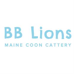 BB Lions - Maine Coon Cattery, Milano orari di apertura