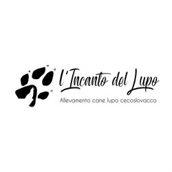 Allevamento cane lupo cecoslovacco L'incanto del lupo, Rho orari di apertura