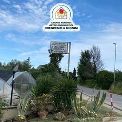 Crescenzi e Mignini - Azienda Agricola Ortoflorovivaistica, Massignano orari di apertura