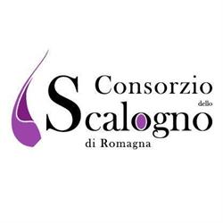 Consorzio Dello Scalogno Di Romagna, Riolo Terme orari di apertura