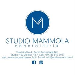 Studio Odontoiatrico Mammola, Torre Annunziata orari di apertura