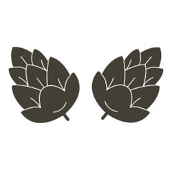 Birreria Beermat, Roma orari di apertura