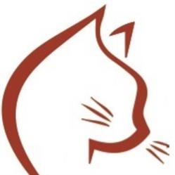 Occhi di Gatto, Lucera orari di apertura
