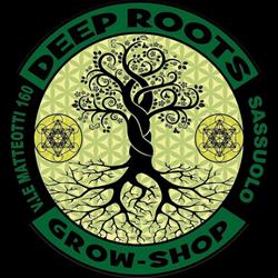 Canapaio Sassuolo - Deep Roots Grow Shop, orari di apertura